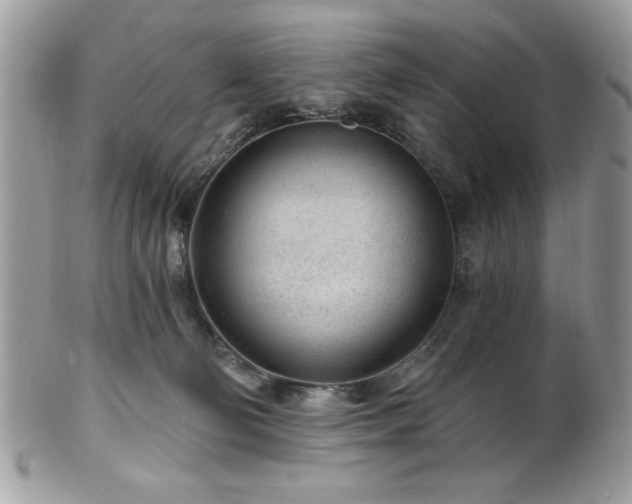 X0000102310130200807251448