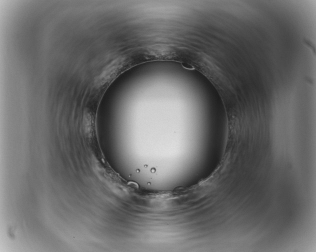 X0000102310132200807251448