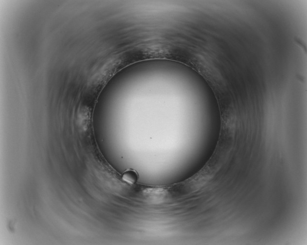 X0000102310133200807251448