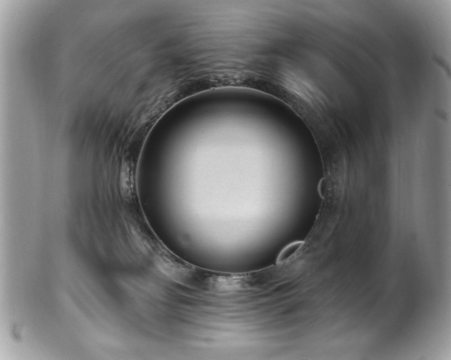 X0000102310134200807251448