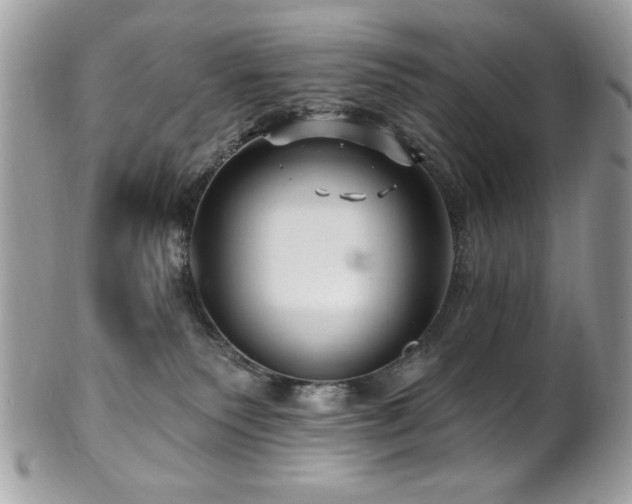 X0000102310135200807251448