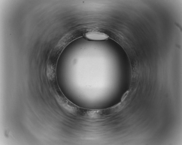 X0000102310136200807251448