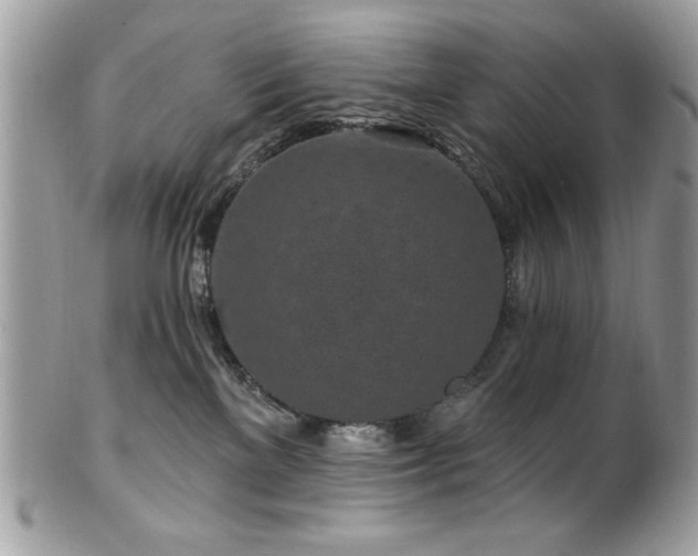 X0000102310137200807251448