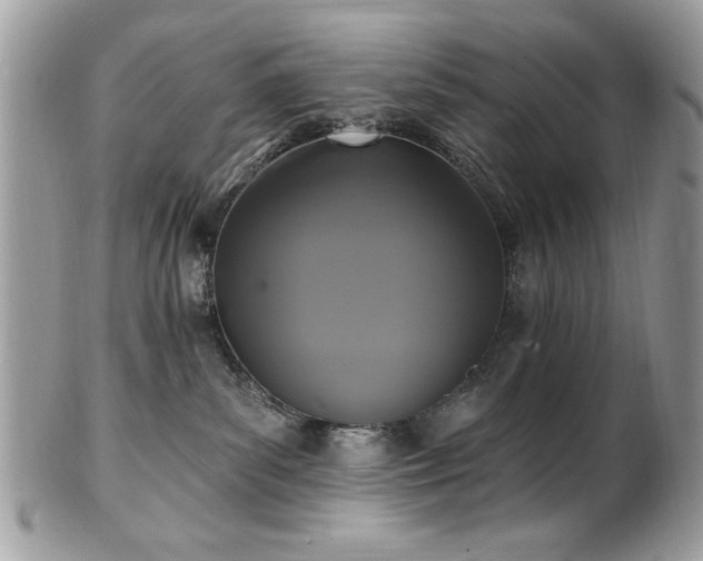 X0000102310139200807251448