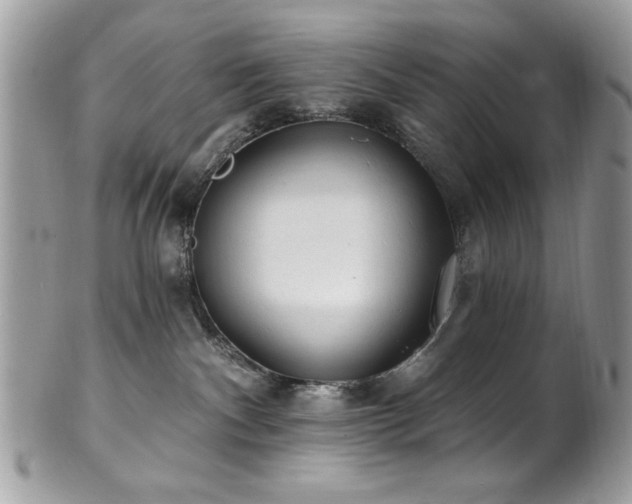 X0000102310140200807251448