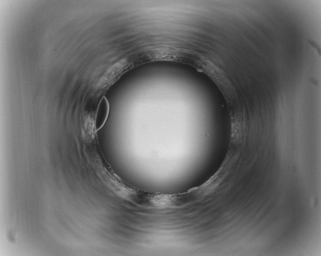 X0000102310142200807251448