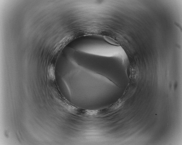 X0000102310143200807251448