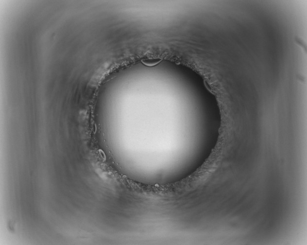 X0000102310144200807251448