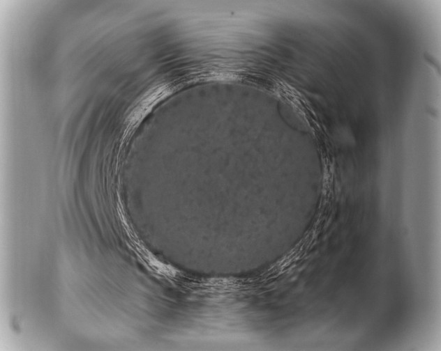 X0000102310145200807251447