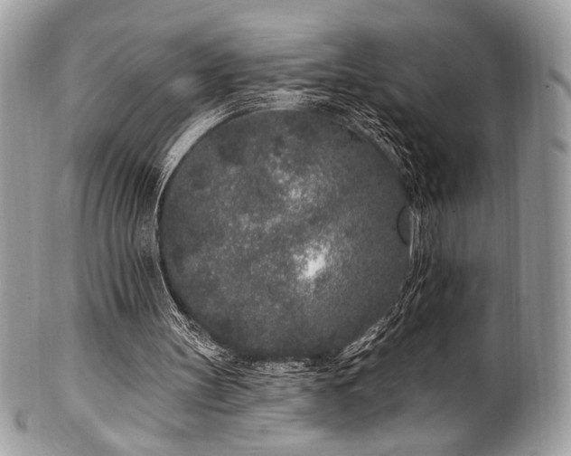 X0000102310147200807251447