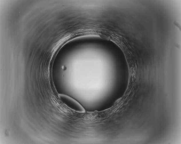 X0000102310148200807251447