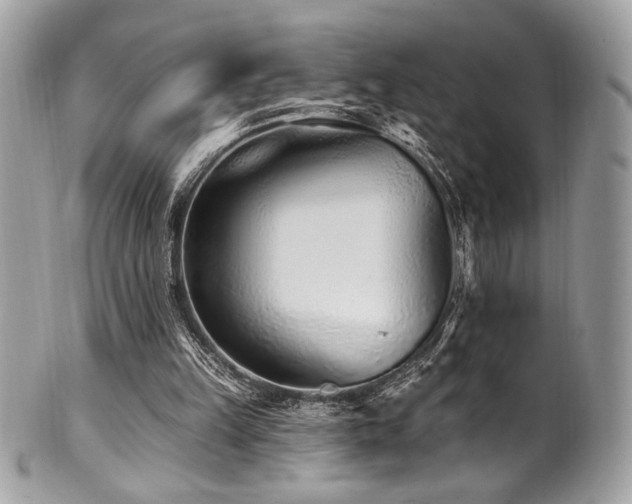 X0000102310149200807251447