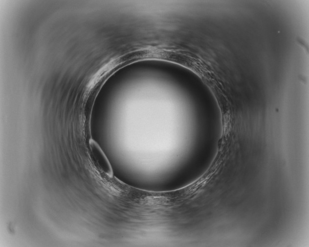 X0000102310150200807251447