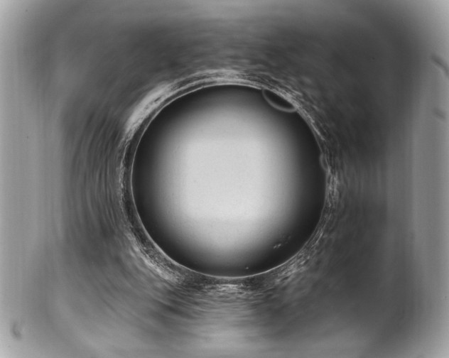 X0000102310151200807251447