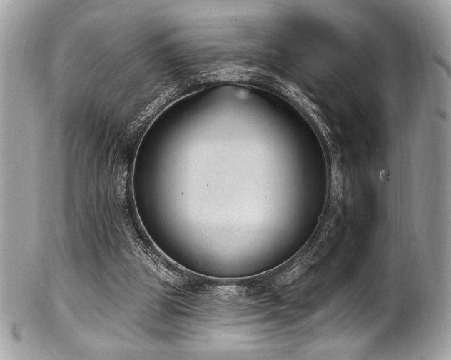 X0000102310153200807251448