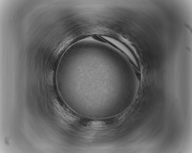 X0000102310154200807251448