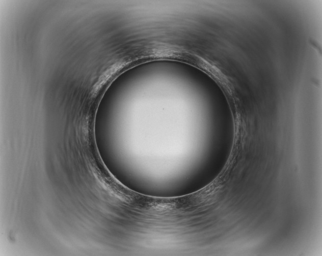 X0000102310155200807251448