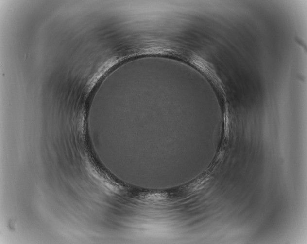 X0000102310156200807251448