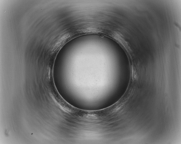 X0000102310157200807251448