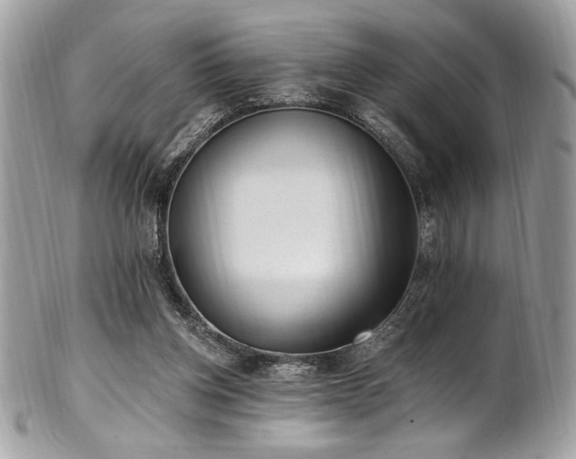 X0000102310158200807251448