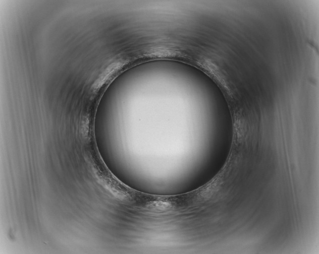 X0000102310159200807251448