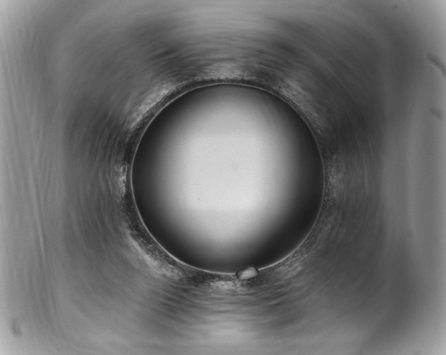 X0000102310160200807251448