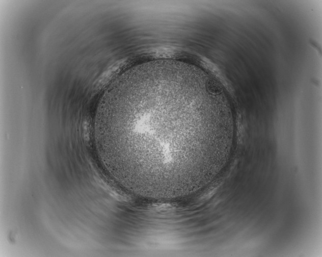 X0000102310161200807251448