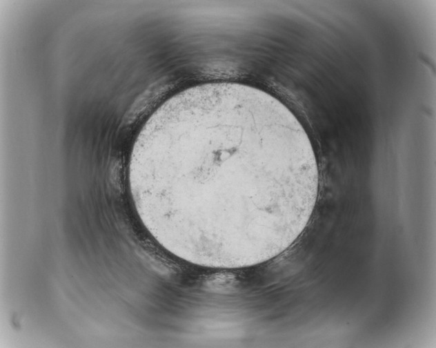 X0000102310162200807251448