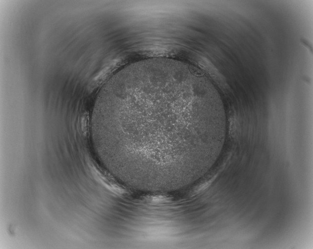 X0000102310165200807251448