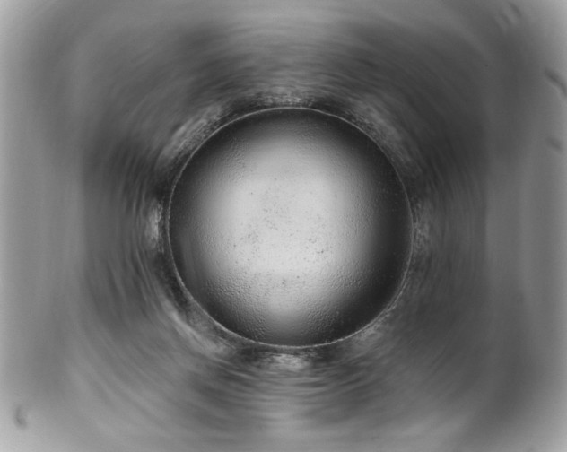 X0000102310166200807251448