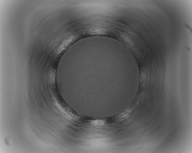 X0000102310168200807251448