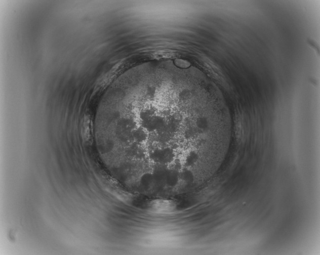 X0000102310169200807251448