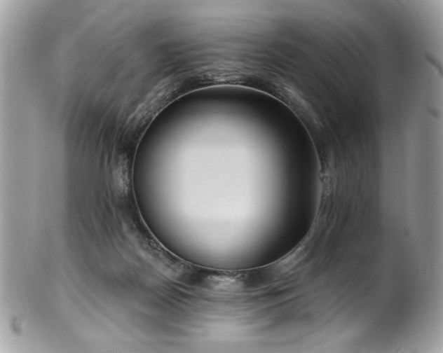 X0000102310170200807251448