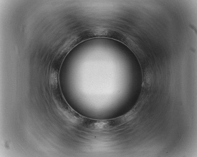 X0000102310172200807251448