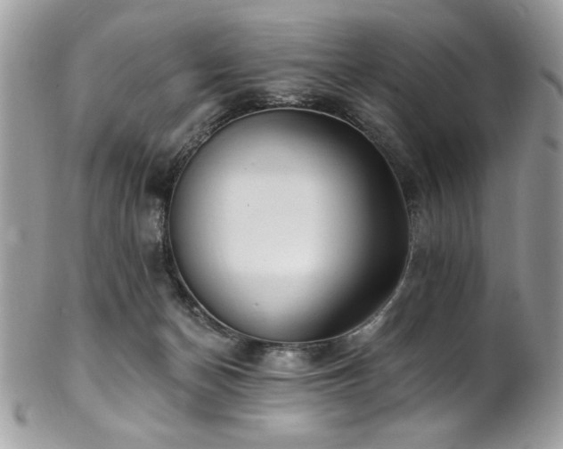 X0000102310174200807251448