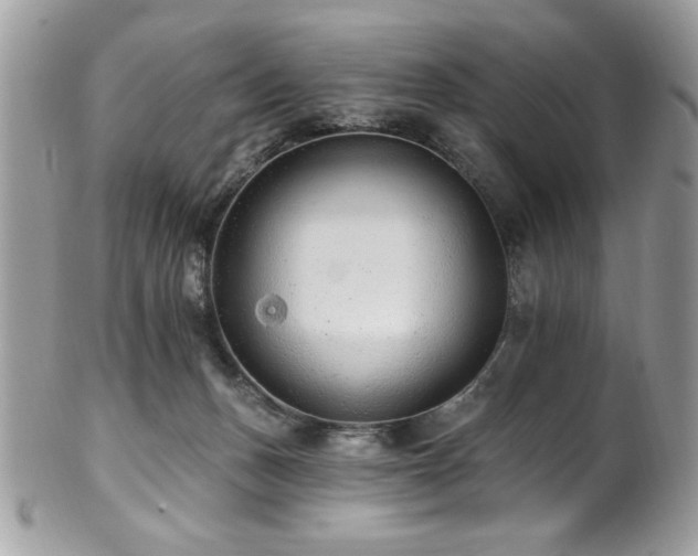 X0000102310175200807251448