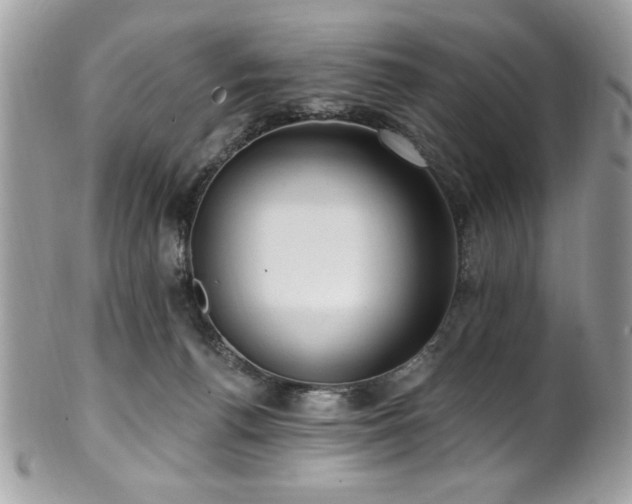 X0000102310176200807251448