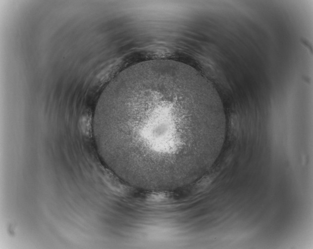 X0000102310177200807251448