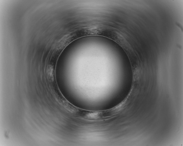 X0000102310178200807251448