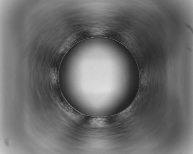 X0000102310179200807251448