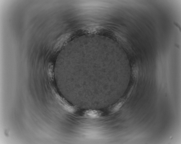 X0000102310181200807251448