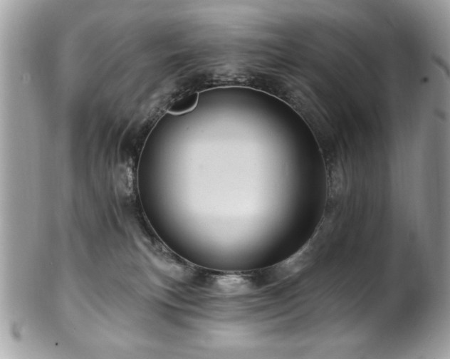 X0000102310183200807251448