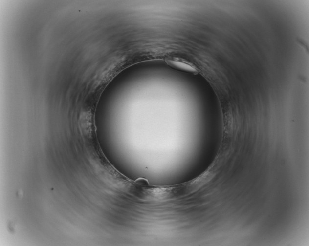 X0000102310184200807251448