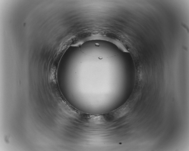 X0000102310185200807251448