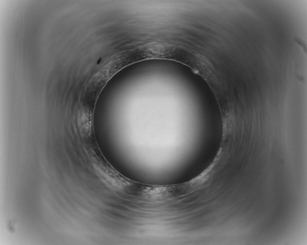 X0000102310186200807251448