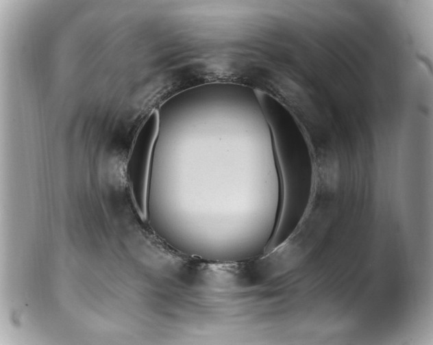 X0000102310188200807251448