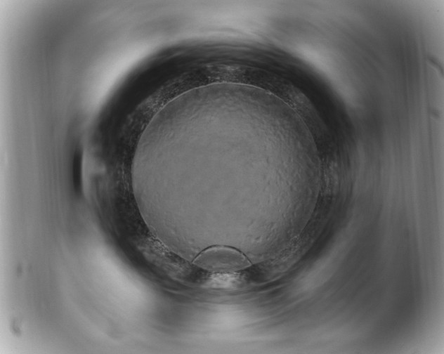 X0000102310189200807251448