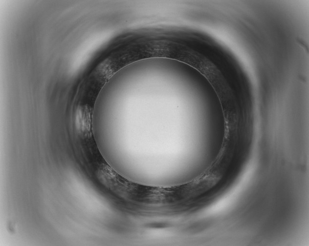 X0000102310190200807251448