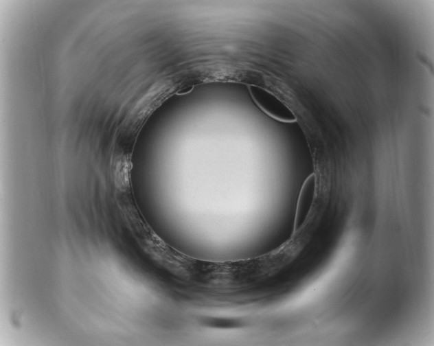 X0000102310191200807251448