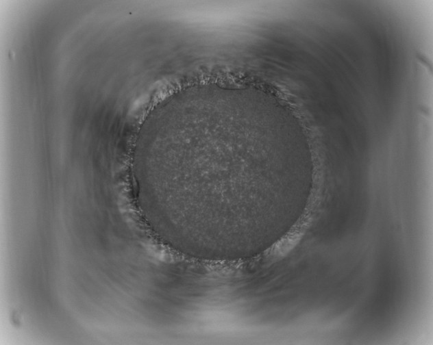 X0000102310192200807251448